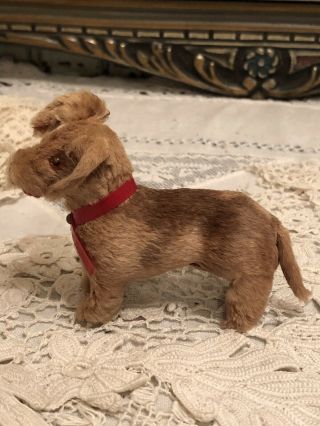 Vintage 40s Small Dog Doll Toy Dachshund? Terrier? Real Fur,  Glass Eyes 2.  5” 3