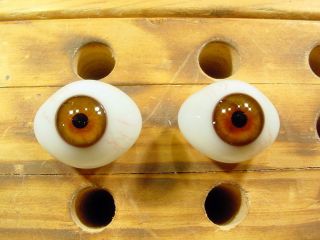 Vintage Pair Glass Eyes With Veins For Bisque Doll Ø 23mm Age 1910 Lausch A 1488