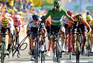 Peter Sagan Signed 8x12 Inches 2019 Tour De France Bora - Hansgrohe Photo