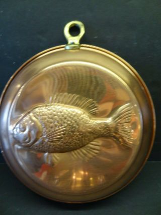 Vintage Small Copper Pan With Fish Embossed And Brass Hanger