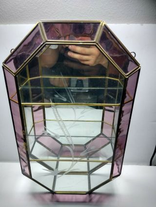 Vintage Brass Pink/clear Glass Wall Hanging Curio Display Case.