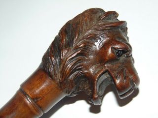 Fabulous Antique 1900 Carved Wooden Lion Head Walking Cane Stick Ruby Glass Eyes