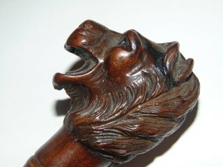 FABULOUS ANTIQUE 1900 CARVED WOODEN LION HEAD WALKING CANE STICK RUBY GLASS EYES 3