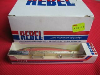 Rare Vintage Rebel F3071s Rainbow Trout 5 1/2 " Fishing Lure Mib W/12 Pack Carton
