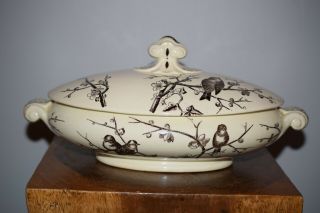 Antique Porcelain Tureen Victorian (1873) George Jones & Sons Almonds