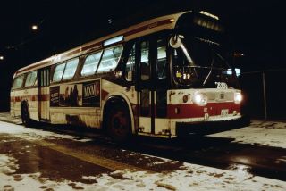 Ttc Toronto Gm Look Fishbowl Bus Slide 2000 At Cne Night
