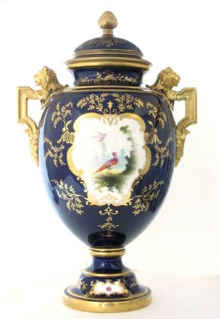 Large Antique Coalport Porcelain Vase & Cover,  Painted Birds,  Fine Gilding 13.  5 "