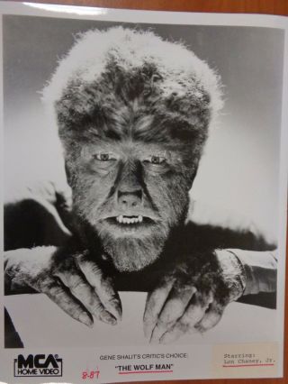 Vintage Glossy Press Photo Close Up Of Lon Chaney Jr.  As " The Wolf Man "