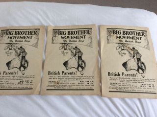Vintage Poster,  Big Brother Movement For British Boys