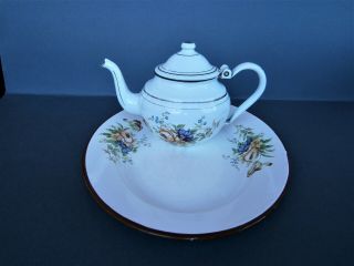Vintage Emo Celje Enamel Oval Tray 12 " Plate Tea Pot Flowers Design Ex Yu