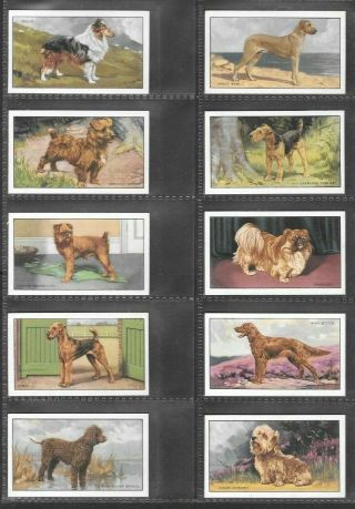 GALLAHER 1936 INTERESTING (DOGS) FULL 48 CARD SET  DOGS 1st SERIES 2