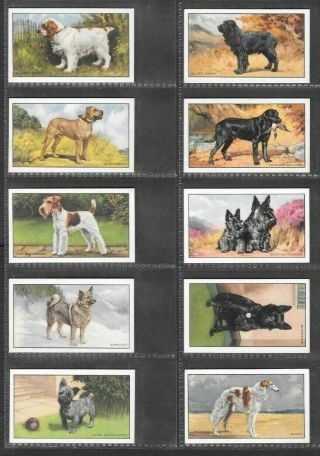 GALLAHER 1936 INTERESTING (DOGS) FULL 48 CARD SET  DOGS 1st SERIES 3