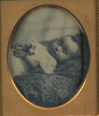 Post - Mortem Child Holding Flowers 1850 Daguerreotype Antique Photography In Case