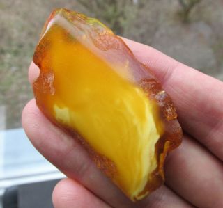 Antique Natural Butterscotch Egg Yolk Baltic Amber Brooch 14.  3g. 3