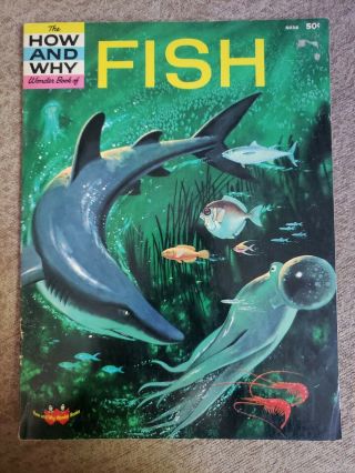 The How And Why Wonder Book Of Fish 50281963.