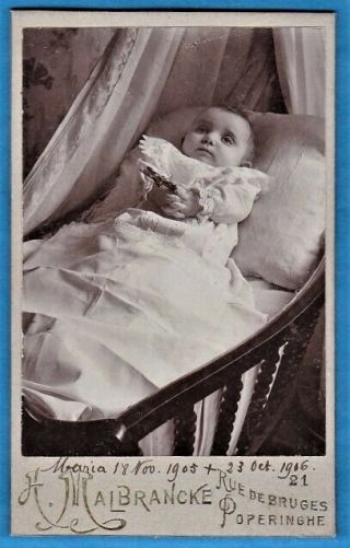 Vintage Cdv Photo Post Mortem Baby Girl Poperinghe Belgium 1906