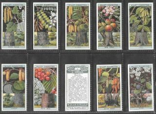 Wills 1924 (trees & Shrubs) Full 50 Card Set  Flowering Trees & Shrubs