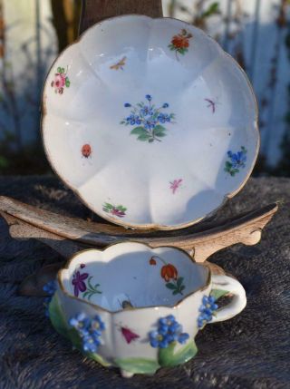 Antique 19thc Dresden German Porcelain Cup And Saucer - Floral Encrusted