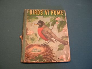 Vintage Birds At Home By Marguerite Henry Illustrated By Jacob Bates Abbott 1942