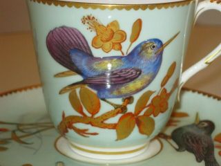 Stunning Rare Antique Royal Worcester Hand Painted Porcelain Cup & Saucer 1875