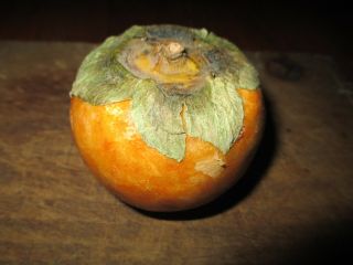 Early Antique Italian Alabaster Stone Fruit Orange Persimmon Green Leaf Top 2