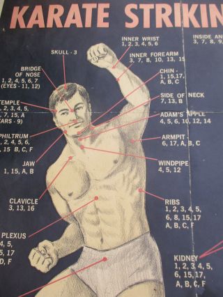 Karate Striking Points Vintage Poster Martial Arts Mma Fight Club 1969