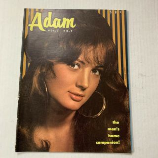 Adam Vol.  7 7 Read Vintage Adult