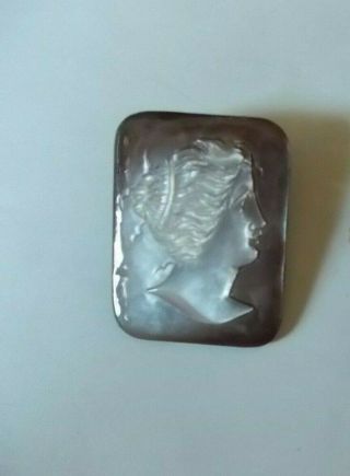 Vintage Rectangular Carved Abalone Mother Of Pearl Shell Cameo Pin Brooch