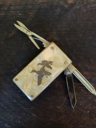 Vintage Square Pocket knife with clip.  Embossed with Ducks 2