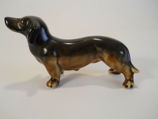 Vintage Porcelain Wiener Dog Dachsund Two Tone Brown In Color 6 " Long 3.  5 " Tall