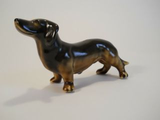 Vintage Porcelain Wiener Dog Dachsund Two Tone Brown in Color 6 