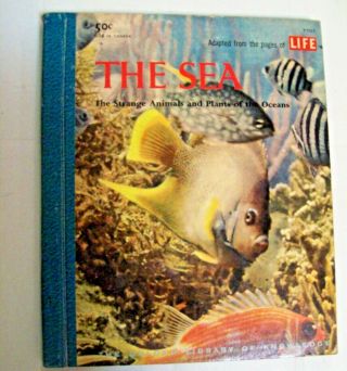 The Sea: Strange Animals & Plants Of Ocean From Life Golden Library Vtg 1958