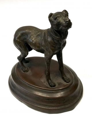 Lovely Antique Bronze Figure Of A Mastiff Dog / Bulldog