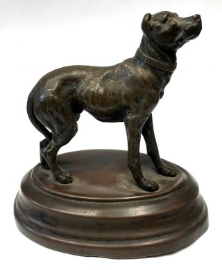 Lovely Antique Bronze Figure Of A Mastiff Dog / Bulldog 2