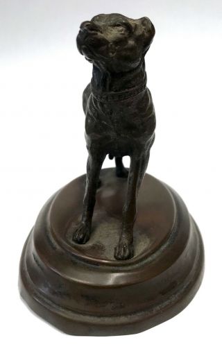 Lovely Antique Bronze Figure Of A Mastiff Dog / Bulldog 3