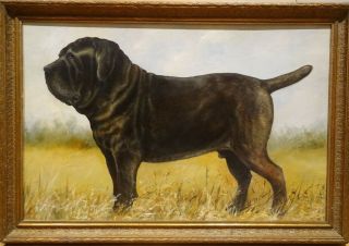 Large 20th Century English School Dog Portrait Black Mastiff Oil Painting