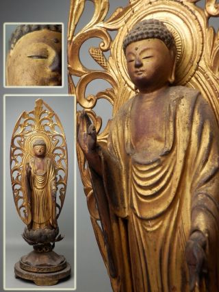 Japanese Antique C1600 Buddhist Amida Nyorai Buddha Gyokugan Crystal Eyes H49cm