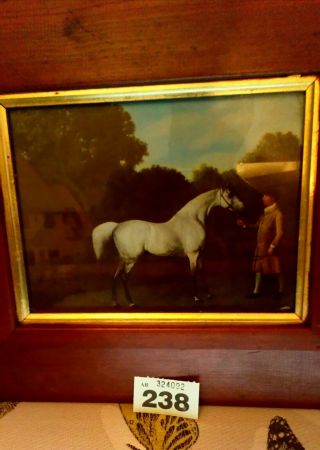 Vintage Framed Horse Print 2