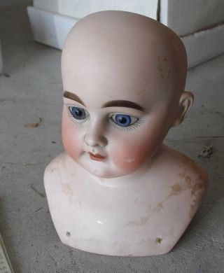 Vintage Germany 1894 Am 5 Dep Bisque Girl Doll Head And Shoulders 5 7/8 " Tall