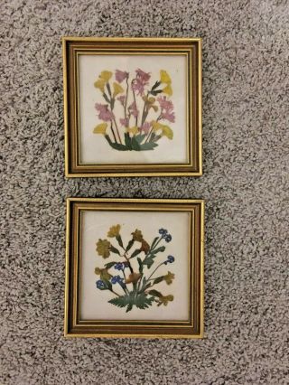 Good Floralp Tyrol Framed Pressed Dried Flowers Set (2) Handmade Austria Vintage