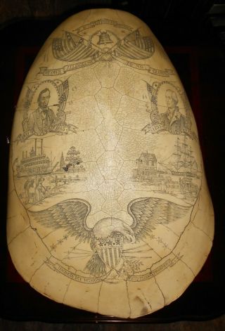 Large Antique Faux Scrimshaw Turtle Shell - American / U.  S.  A.  History Decoration