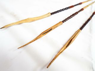 Antique Three Set Of Cassowary Bone Tipped Arrows Head Hunting Papua Guinea