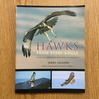 Hawks From Every Angle : How To Identify Raptors In Flight By Jerry Liguori
