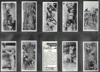 Sarony 1934 (zoo Animals) Full 54 Card Set  Life In Whipsnade Zoo