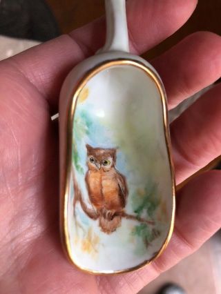 Vintage Porcelain Sugar Nut Candy Miniature Scoop Hand Painted Owl Signed