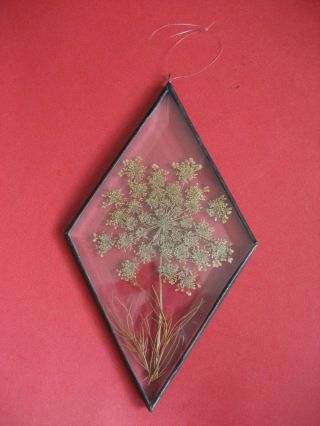Vintage Real Pressed Dried Flower Beveled Glass Leaded Frame Suncatcher Diamond