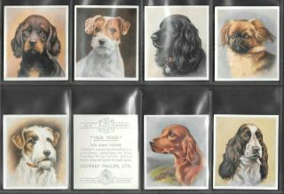 Godfrey Phillips 1939 Intriguing (dogs) Full 30 Card Set  Our Dogs