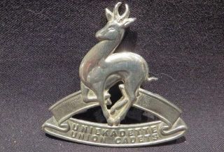 South African Union Cadets Vintage Chrome Plated Cap Badge