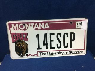 Montana License Plate The University Of Montana Griz