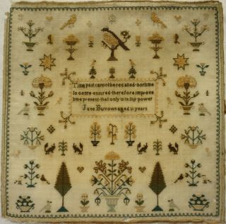 Mid 19th Century Motif & " Time " Verse Sampler By Jane Burrows Aged 11 - C.  1845